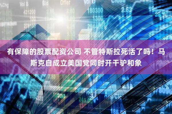 有保障的股票配资公司 不管特斯拉死活了吗！马斯克自成立美国党同时开干驴和象
