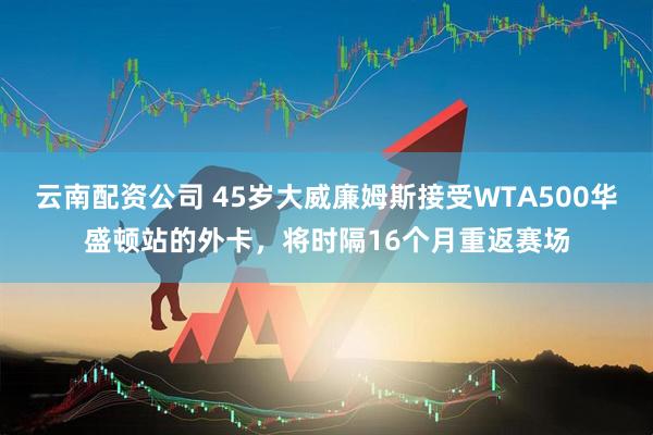 云南配资公司 45岁大威廉姆斯接受WTA500华盛顿站的外卡，将时隔16个月重返赛场