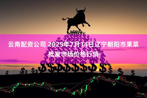 云南配资公司 2025年7月14日辽宁朝阳市果菜批发市场价格行情